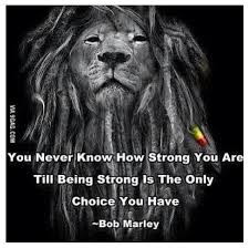 The lion wo quote on rasta colors | Rasta Quotes | Pinterest ... via Relatably.com