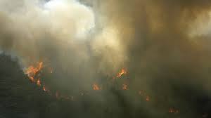 Portugal em Chamas! Incêndios Devastadores Atingem Vila Real e Trancoso - Imagen ilustrativa del artículo