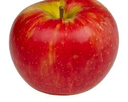 Image of Honey Crisp apples