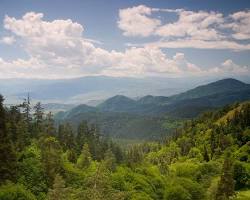 Image of Borjomi National Park, Georgia