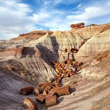 Petrified logs in desert landscape