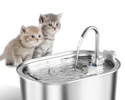 Automatic cat water fountainの画像