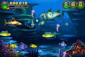 Image result for feeding frenzy
