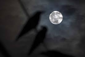 is tonight a full moon