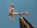 Beginners Lessons Learn Fly Tying