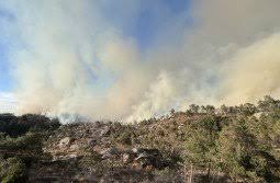 Brann, Skogbrann | Evakuerer 15 boliger: Politiet sender ut nødvarsel