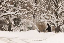 News source: Global News