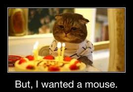 Image result for funny birthday