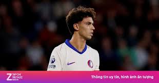 Vietnam.vn - News update