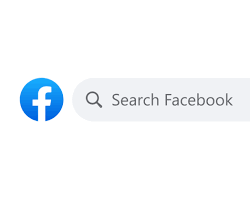 Imagem de Facebook search bar