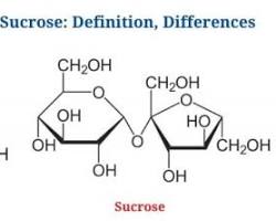 Image of ساختار مولکولی ساکارز