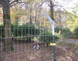 Image result for non climb fence