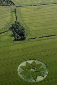 Discover 10 extra terrestrial and e.t. the extra-terrestrial movie poster ideas | mysterious crop circles uk, et the extra terrestrial movie poster, et movie scene and more