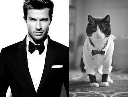 Image result for men and cats tumblr