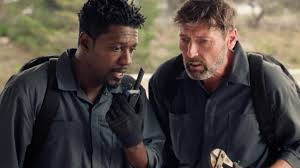 TF1+ - News update