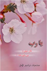 ���� ���� ������ �� ���� ������