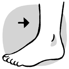 R�sultat de recherche d'images pour "images de cheville"