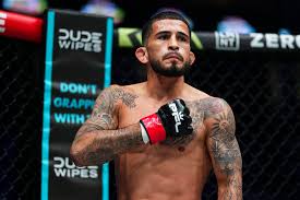 OMG! Sergio Pettis' UNREAL Spinning Elbow KO Shocks MMA World! - Imagen principal del artículo