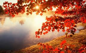 Kết quả hình ảnh cho những hình ảnh về mùa thu hà nội