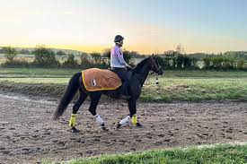 JRA日本中央競馬会 - News update