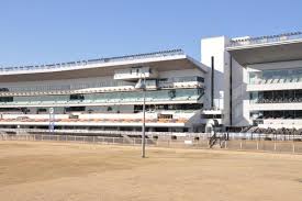 川崎競馬場、200億円規模で再整備！厩舎移転で何が変わる？
