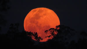 News source: Australian Broadcasting Corporation
