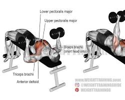 Image of Decline Dumbbell Bench Press exercise