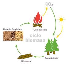 Resultado de imagen para energia biomasa