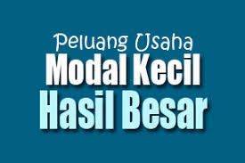 Image result for peluang usaha