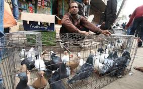 Image result for হাট বাজার নীতিমালা