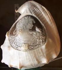 ������� �����������