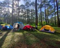Image of Green Grass Cikole, Jawa Barat