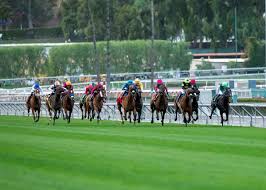 Santa Anita Has Two-Day Pick 6 Carryover Into Saturday Program
