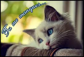 Résultat de recherche d'images pour 