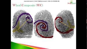 Résultat de recherche d'images pour "fingerprint types"