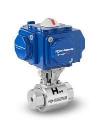 Hydrogen Valves: Emission Prevention & Ease Maintenance