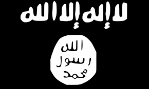 Image result for ISIS FLAG