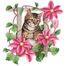 Картинки по запросу красивые картинки анимашки