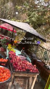 استایل پاییزی الناز شاکردوست در دل طبیعت؛ بزنید از خونه بیرون!