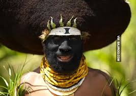 Image result for Natural funny image