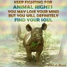 Quotes on Pinterest | Animal Rights, Vegans and Stop Animal Cruelty via Relatably.com