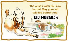 Image result for bakra eid funny images