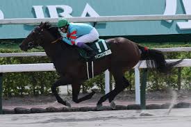 競馬ヘッドライン - News update