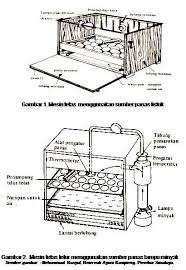 Hasil gambar untuk kandang ayam sederhana