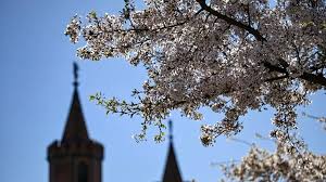 Sonniges Frühlingswetter in Berlin und Brandenburg bringt Bodenfrost