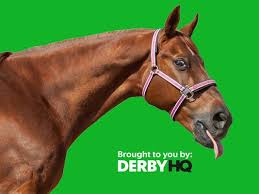 Image result for kentucky derby images 2016 ago