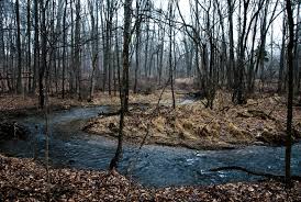 external image images?q=tbn:ANd9GcST9-FS22CYNdTgMXRFAsgbwP4PBoGB3gSJKpT5Wskax6EvMx6S6A