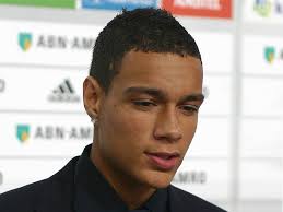 Sky – Only one of Isla or Van Der Wiel will come - Gregory-van-der-Wiel3