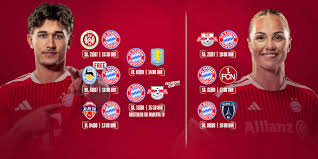 Wehen Wiesbaden - Bayern