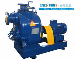Image of SelfPriming Sewage Pump